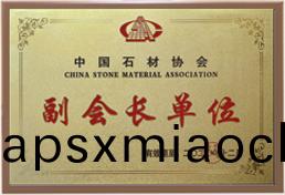 副(fu)會長單(dan)位