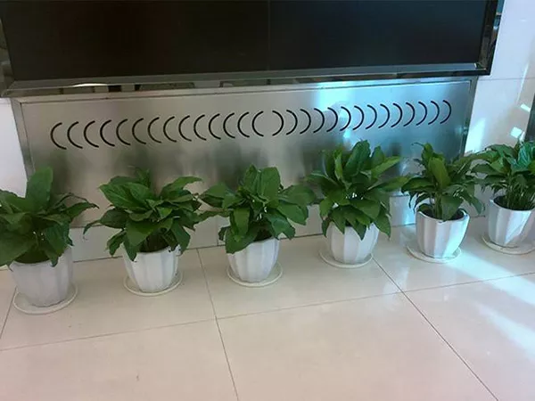 廣州綠植租擺支付費用以后就不需要護理了嗎(ma)？