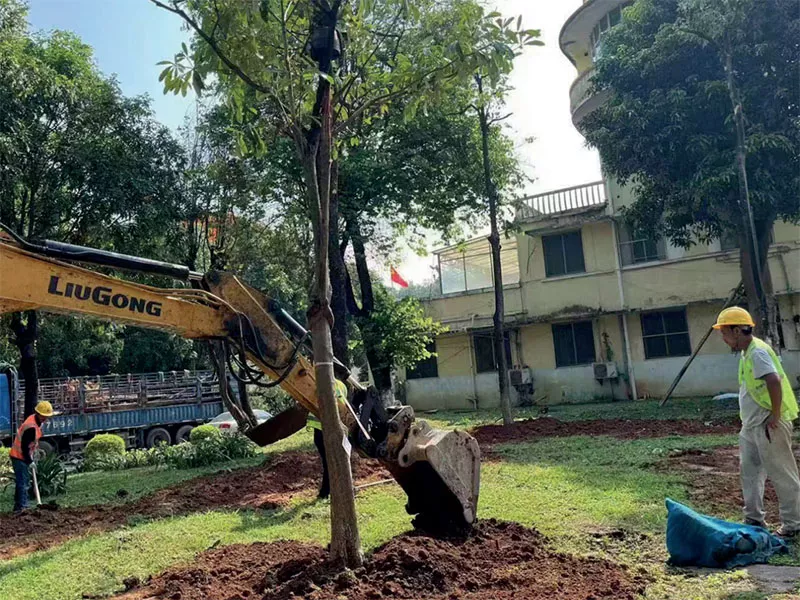 廣東省黃邨體育訓練中心